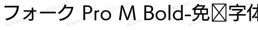 フォーク Pro M Bold字体转换
